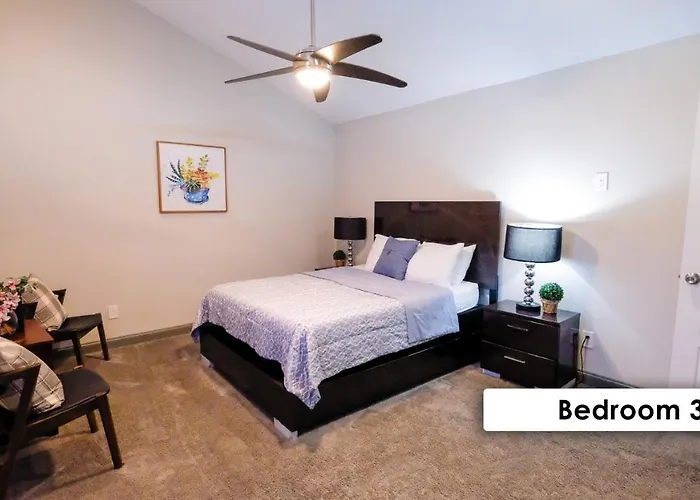 Sw Houston, Nrg, Grb, Mm Park, Downtown, Galleria - Braes Forest